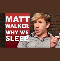 MATTHEW WALKER - WHY WE SLEEP | HOW TO SLEEP BETTER #x26 IMPROVE YOUR LIFE