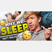 MATTHEW WALKER - WHY WE SLEEP | How To Sleep Better #x26 Improve Your Life - TRAILER