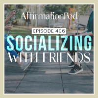  496 Socializing With Friends 