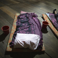 Ayahuasca Safety w/ Joshua Wickerham