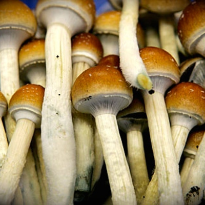 Reset With Amber Lyon