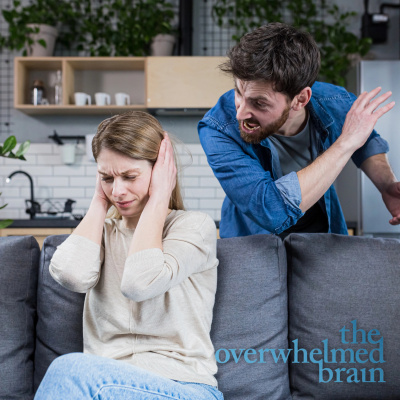 The Overwhelmed Brain | Stress | Anxiety | Relationship | Critical Thinking | Emotional Intelligence | Emotional Abuse