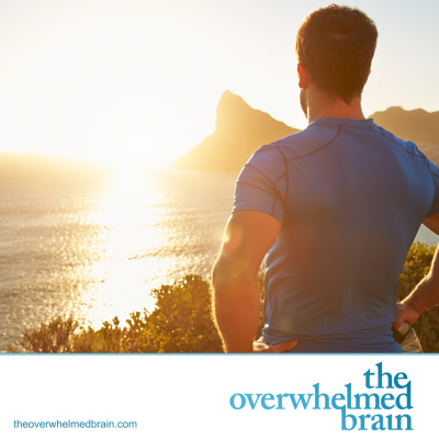 The Overwhelmed Brain | Stress | Anxiety | Relationship | Critical Thinking | Emotional Intelligence | Emotional Abuse