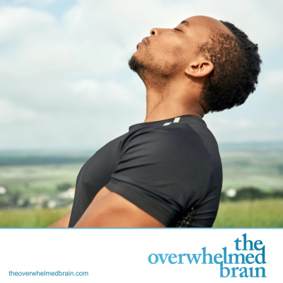 The Overwhelmed Brain | Stress | Anxiety | Relationship | Critical Thinking | Emotional Intelligence | Emotional Abuse