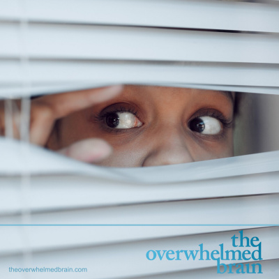 The Overwhelmed Brain | Stress | Anxiety | Relationship | Critical Thinking | Emotional Intelligence | Emotional Abuse