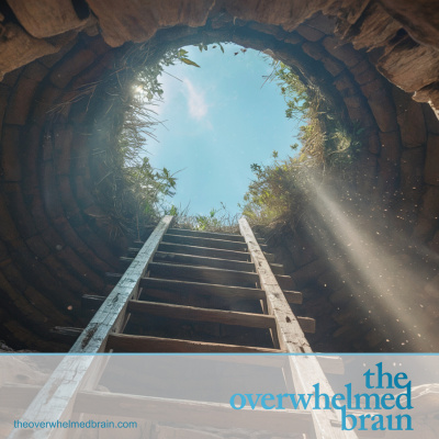 The Overwhelmed Brain | Stress | Anxiety | Relationship | Critical Thinking | Emotional Intelligence | Emotional Abuse