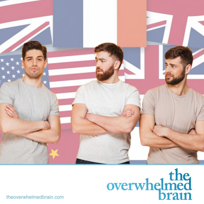 The Overwhelmed Brain | Stress | Anxiety | Relationship | Critical Thinking | Emotional Intelligence | Emotional Abuse