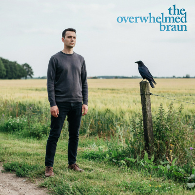 The Overwhelmed Brain | Stress | Anxiety | Relationship | Critical Thinking | Emotional Intelligence | Emotional Abuse