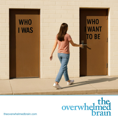 The Overwhelmed Brain | Stress | Anxiety | Relationship | Critical Thinking | Emotional Intelligence | Emotional Abuse