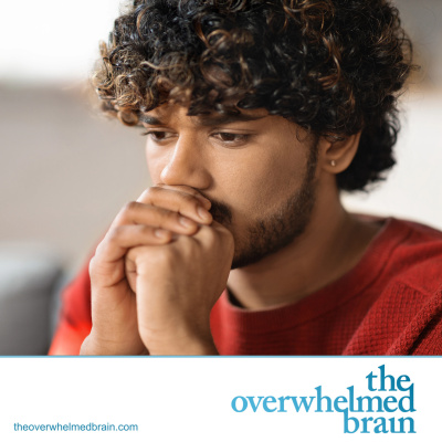 The Overwhelmed Brain | Stress | Anxiety | Relationship | Critical Thinking | Emotional Intelligence | Emotional Abuse