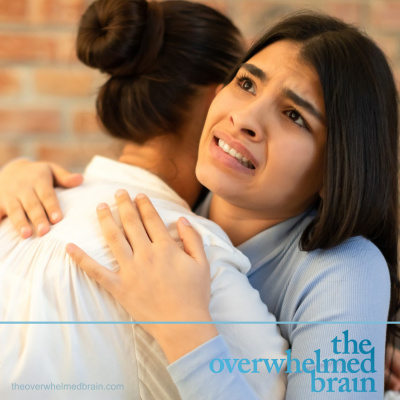 The Overwhelmed Brain | Stress | Anxiety | Relationship | Critical Thinking | Emotional Intelligence | Emotional Abuse