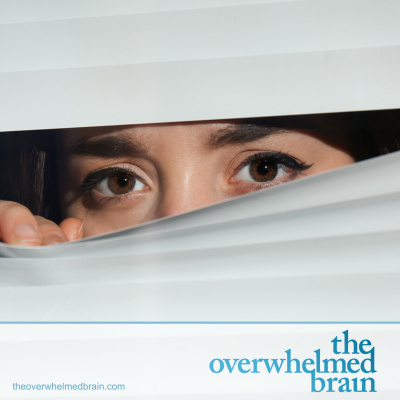 The Overwhelmed Brain | Stress | Anxiety | Relationship | Critical Thinking | Emotional Intelligence | Emotional Abuse