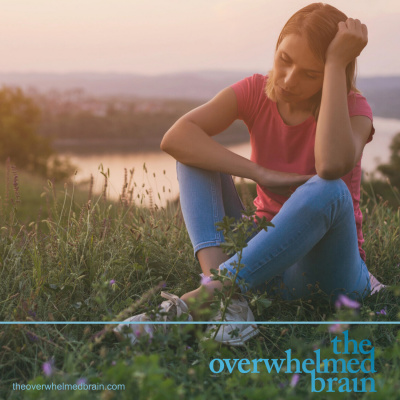 The Overwhelmed Brain | Stress | Anxiety | Relationship | Critical Thinking | Emotional Intelligence | Emotional Abuse