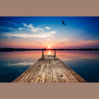 Upgrade Your Identity And Set Yourself Free with Dmitry Vulfovich