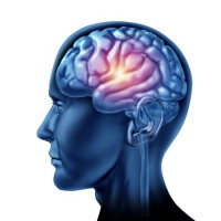 Changing Your Brain With Compassionate Imagery