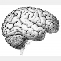 Changing The Way You Think (Part 1)