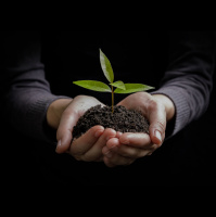 What If You Were 100% Responsible with Darren Gold