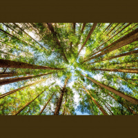 The Most Important Decision Of Your Life