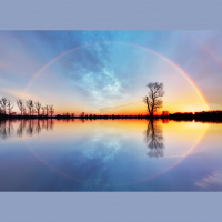 From Triggered To Tranquil with Dr. Susan Campbell