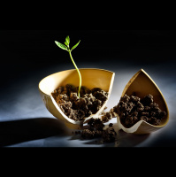 Imperfect Action = Success