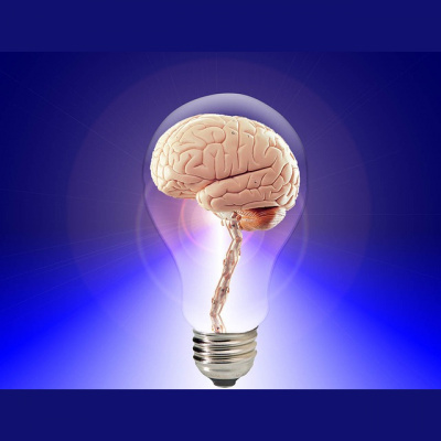 Shrink For The Shy Guy