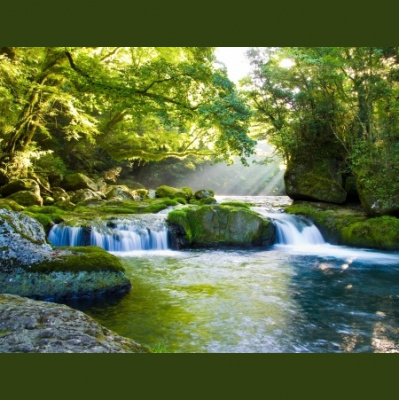 Shrink For The Shy Guy