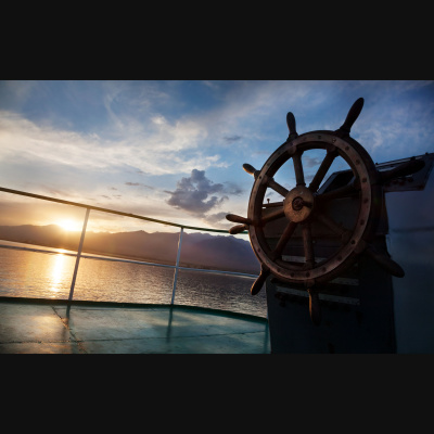 Shrink For The Shy Guy