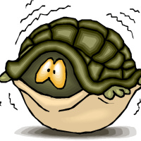 ¿En que se basan nuestros miedos?