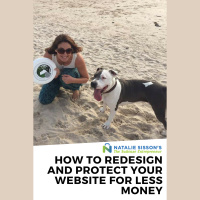[291] How To Redesign and Protect Your Website For Less Money