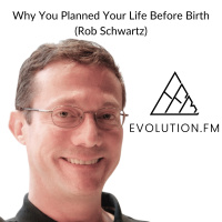 What Your Soul Planned for This Lifetime and How to Access Your Blueprint Through expanded consciousness (Rob Schwartz)