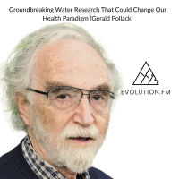 Groundbreaking Water Research That Could Change Our Health Paradigm (Gerald Pollack)