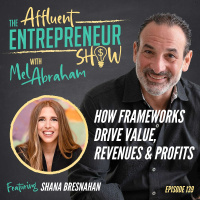 How Frameworks Drive Value, Revenues  Profits with Shana Bresnahan