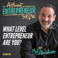 014 What Level Entrepreneur Are You?