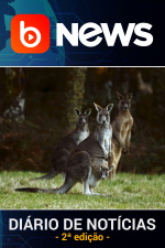 Diário de Notícias - 16/12/2020 - 2ª Edição
