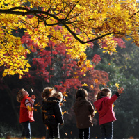 Herbstliche Impressionen