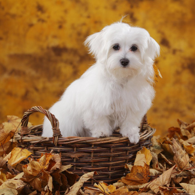 Deutsche Im Alltag - Alltagsdeutsch | Deutsch Lernen | Deutsche Welle