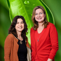 Jahreszeiten außer Takt? Alles Natur!