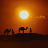 Frühzeitlicher Handel in Arabien - Mit Dhau und Dromedar