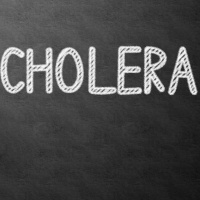 Die Cholera in Bayern - Eine Pandemie des 19. Jahrhunderts