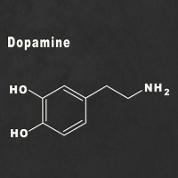 Dopamin - Botenstoff mit Suchtgefahr