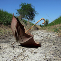 Ausgetrocknete Flussbetten - Was kommt nach dem Wasser?