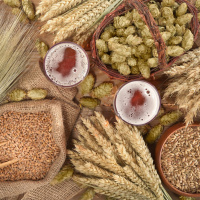 Malz - Rohstoff zum Brauen, Brennen und Backen