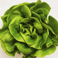 Grüner Salat: Wie kam es zu dem Hype?