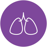 Zug um Zug - wie die Lunge uns Leben einhaucht