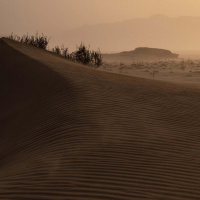 #01 Die Geschichte der Sahara - Seen im Sand