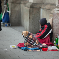Bettelei - Aus der Geschichte einer Lebensform