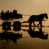 #01 Ebbe und Flut - Zwischen Sonne und Mond