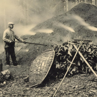 Räuber, Köhler, Jagdgehilfen - Der Wald und seine Menschen