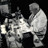 Aus Versehen genial - Wie der Zufall zu neuen Entdeckungen führte