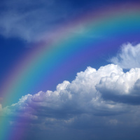 Das Paradies - Auf der Suche nach dem Guten